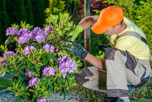 Tree surgeons planning safe site work with protective equipment