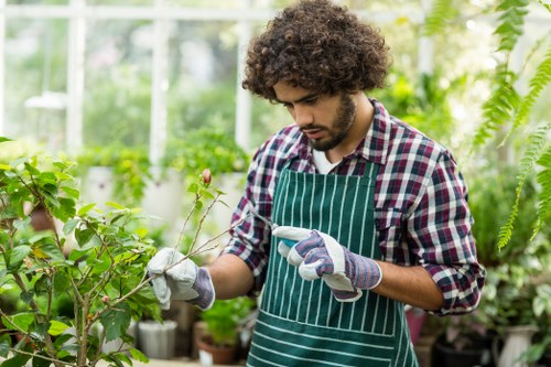 Arborist assessing tree hazards before starting work