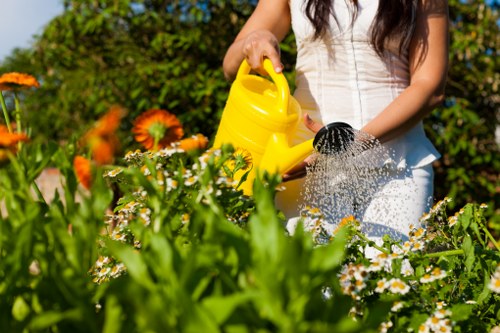 Secure checkout options for Tree Surgeons Hounslow